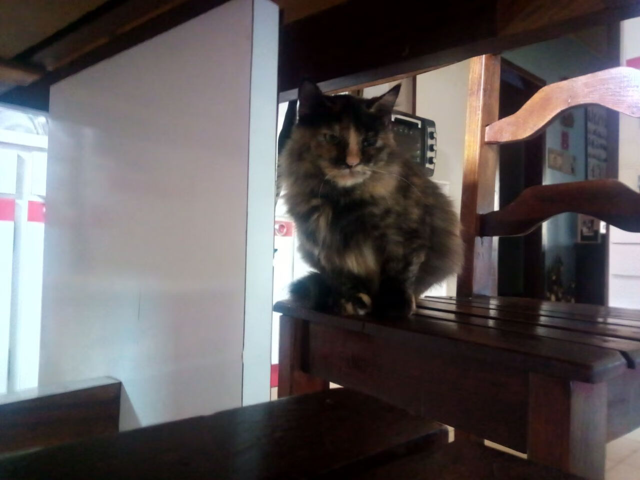 中国篮协推动地方联赛发展打造多层次赛事体系，中国国内篮球联赛包括