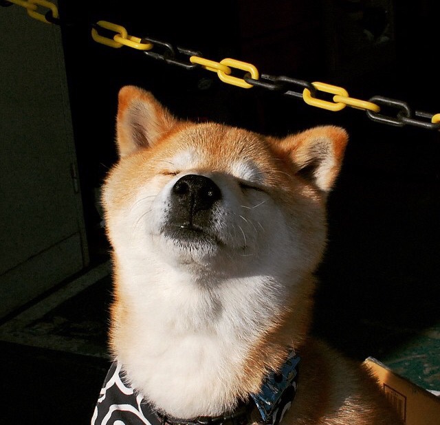 乒乓球反应速度提升技术不断升级，乒乓球反应速度提升技术不断升级的例子