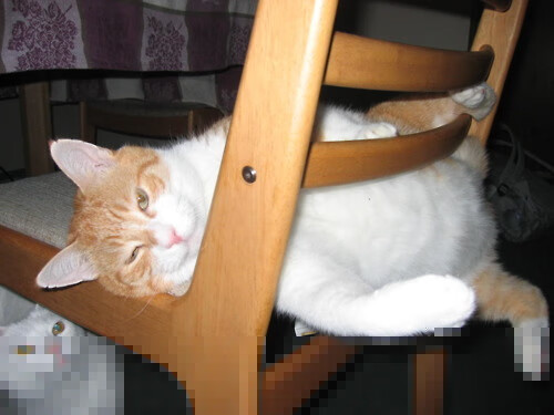 埃弗顿边路组织传中精度明显提高，埃弗顿阵型