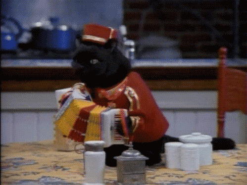 马术耐力赛落地内蒙古 展现草原速度与激情,马术耐力赛方案