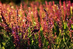 Kering-中国男篮战术执行精准，中国男篮最新的道具