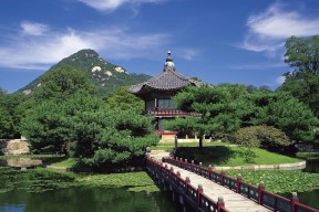 开云网页版登录入口-亚冠联赛国足爆冷 战术执行需改进，足协杯亚冠冲突