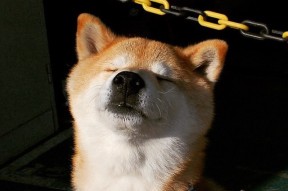 开云官方-乒乓球反应速度提升技术不断升级，乒乓球反应速度提升技术不断升级的例子